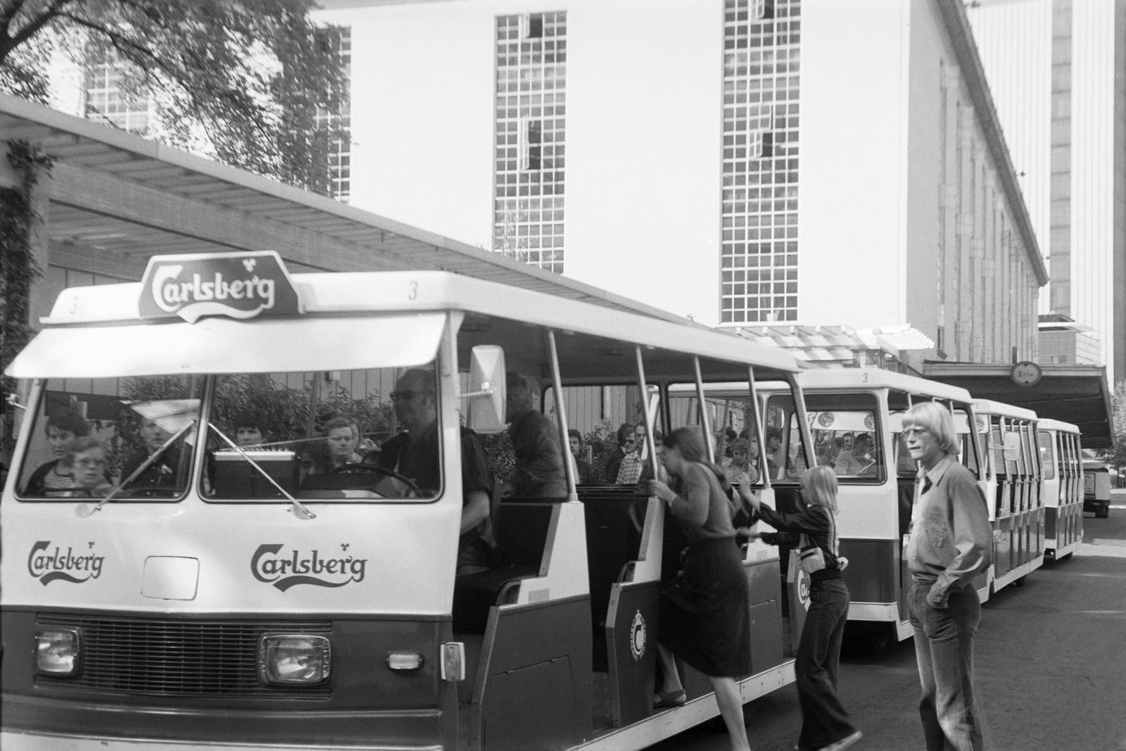 1972, Lindner család, Fortepan #311012