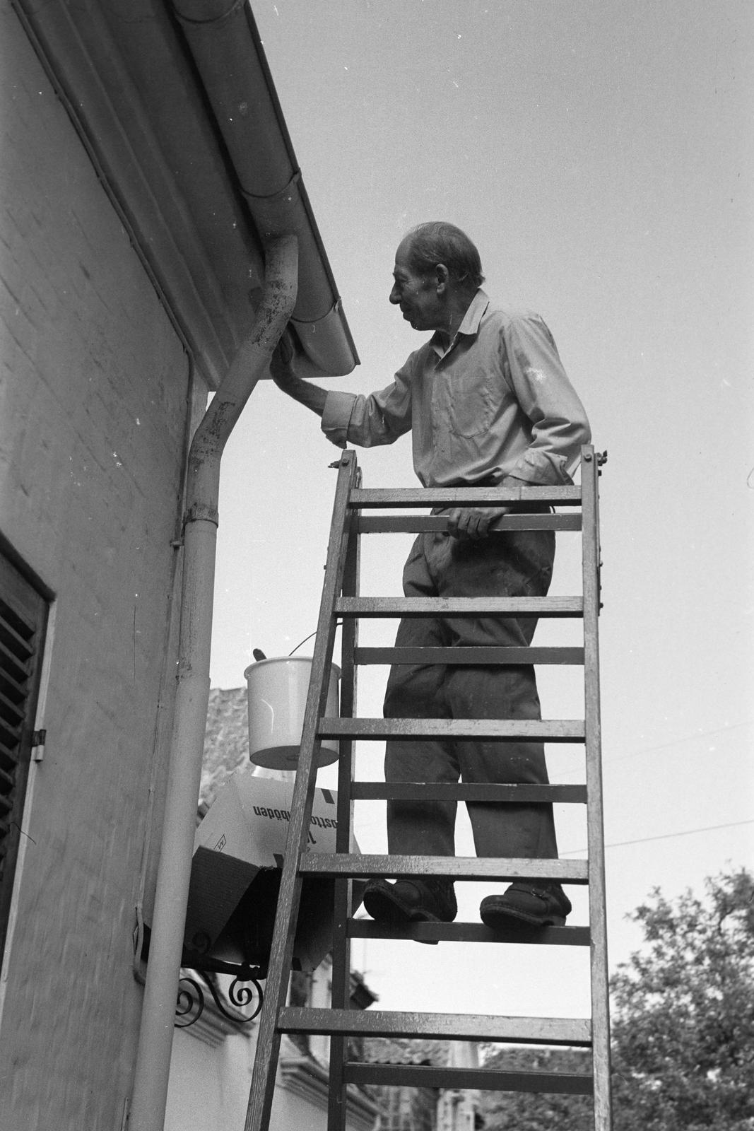 1962, Lindner család, Fortepan #311052