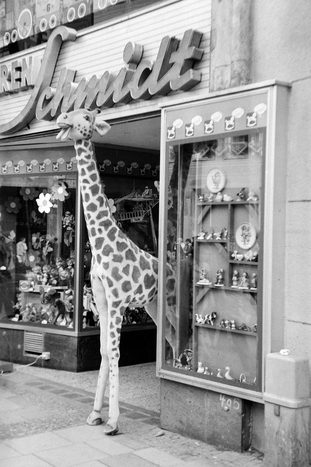 1970, Lindner család, Fortepan #311065