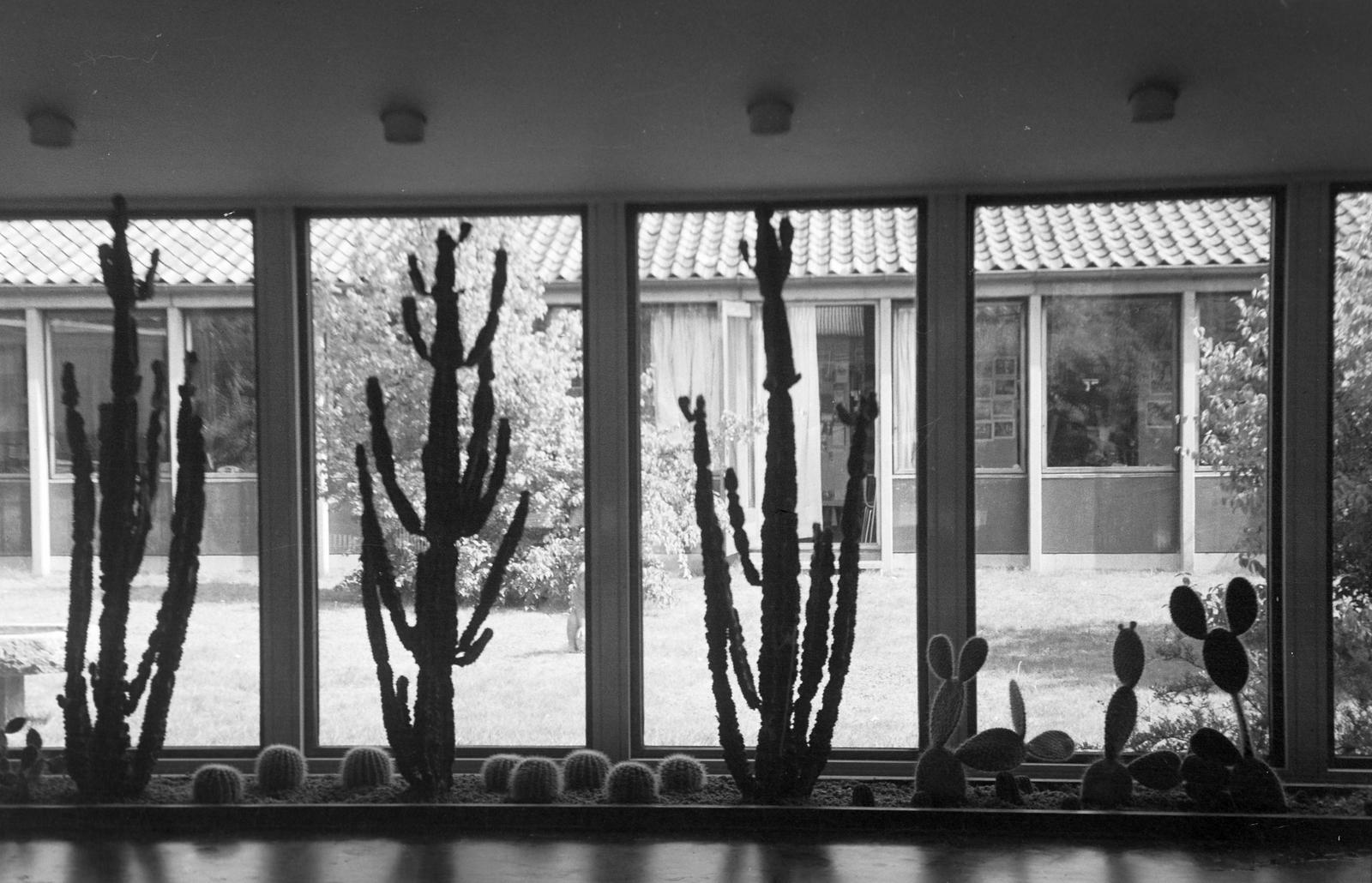 1970, Lindner család, Fortepan #311083