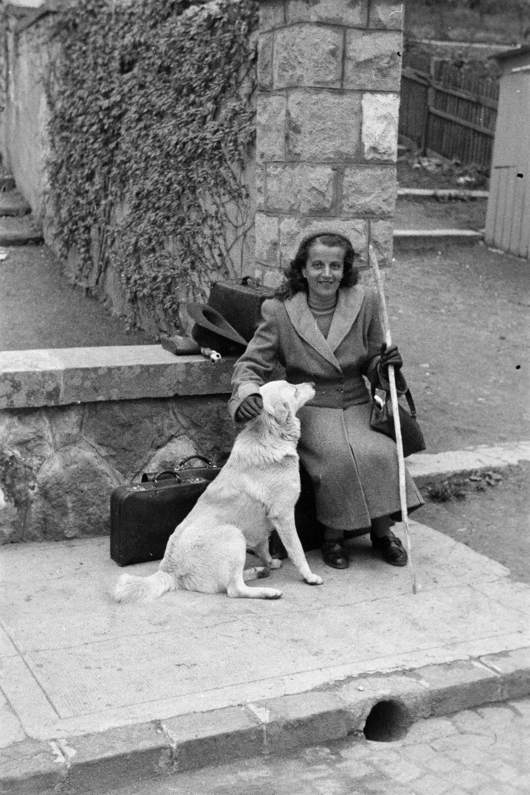 1965, Lindner család, Fortepan #311105