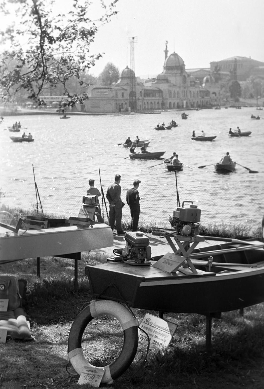 1965, Lindner család, Fortepan #311107