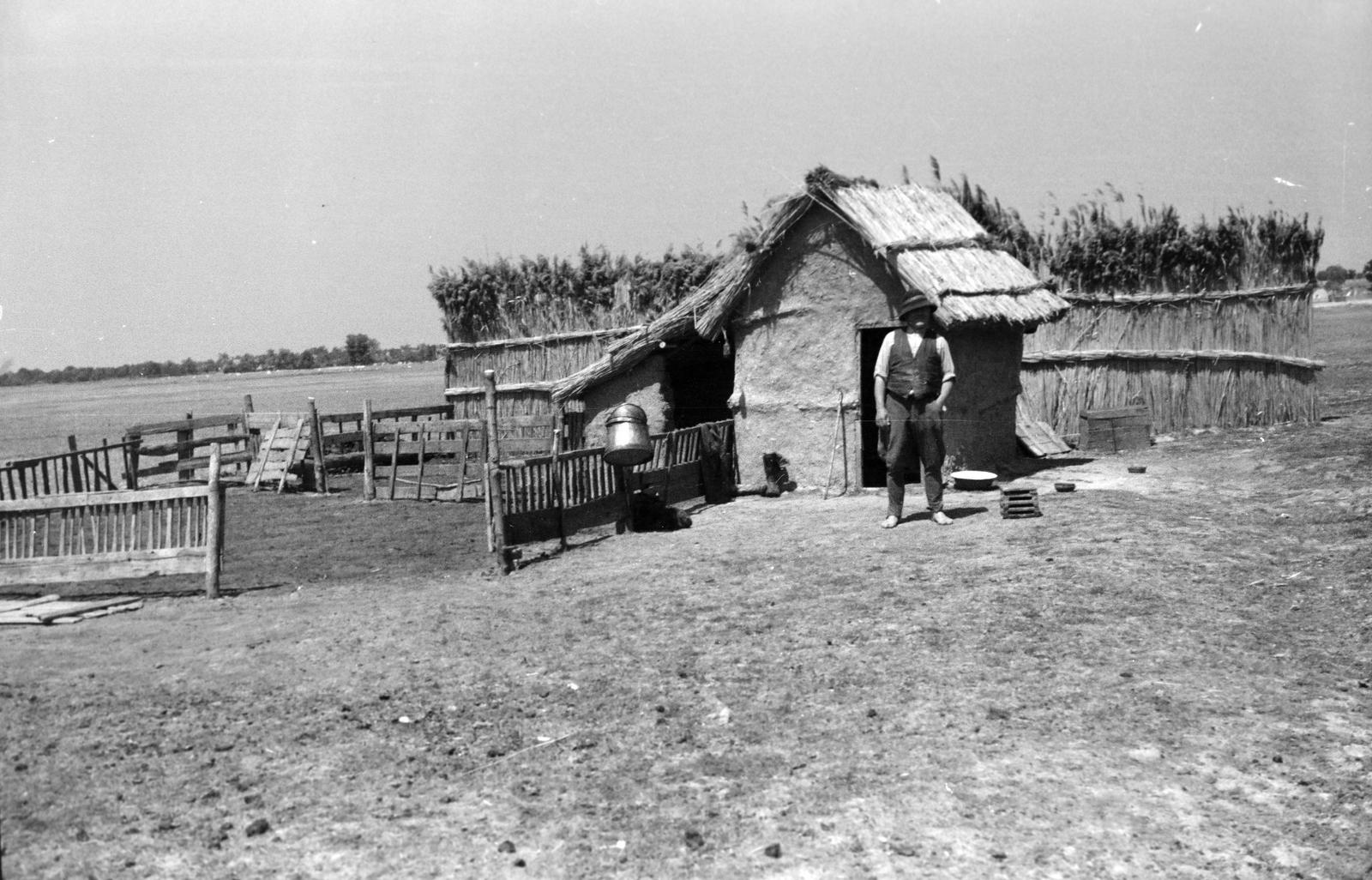 1955, Lindner család, Fortepan #311108