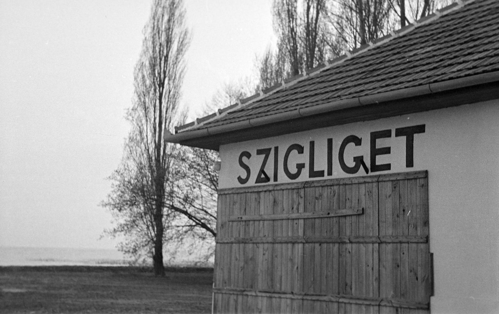 1953, Lindner család, Fortepan #311121