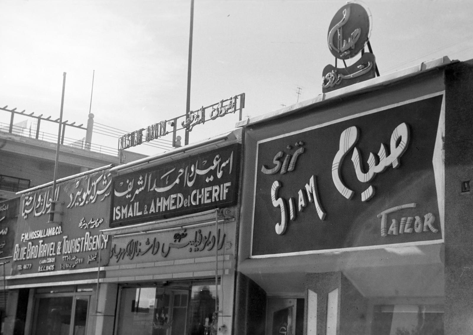 1965, Lindner család, Fortepan #311164