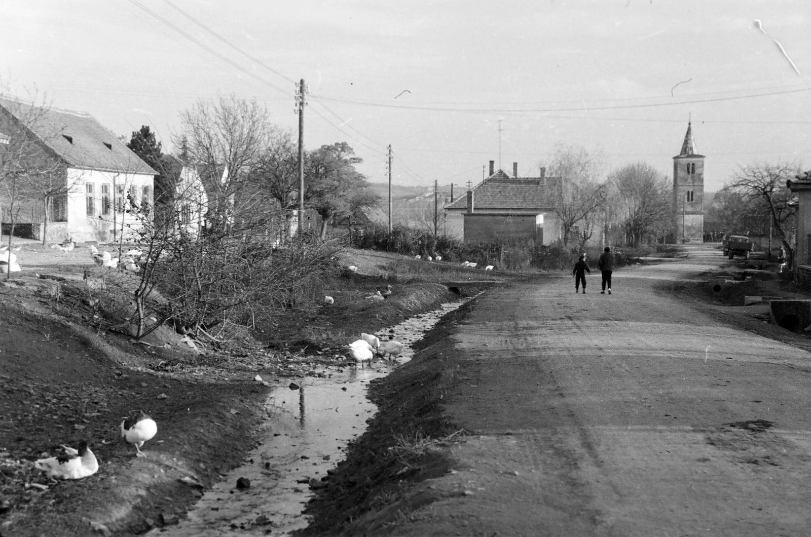 1960, Lindner család, Fortepan #311170