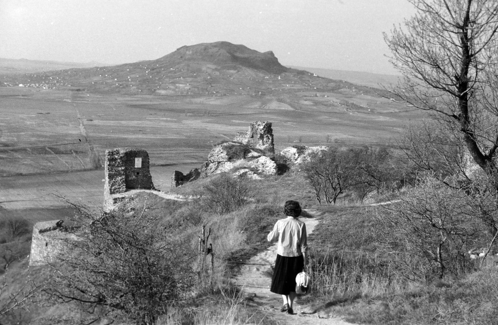 1961, Lindner család, Fortepan #311185