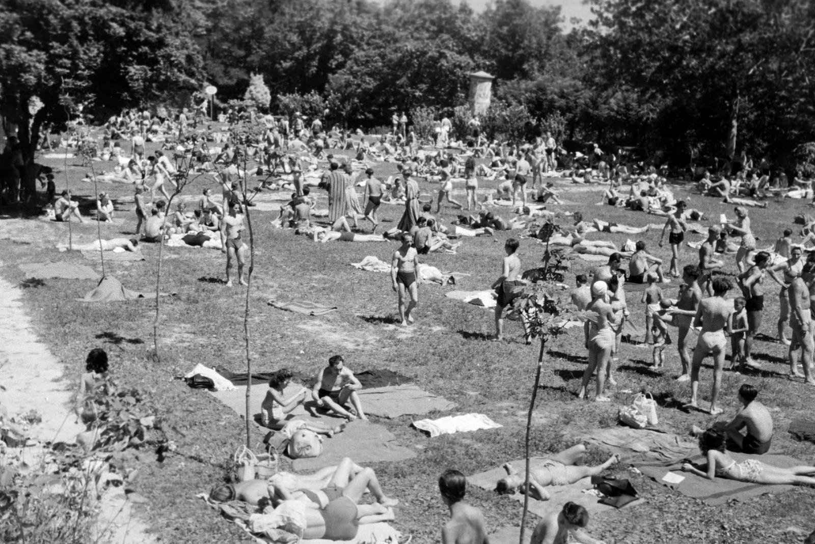 1961, Lindner család, Fortepan #311187