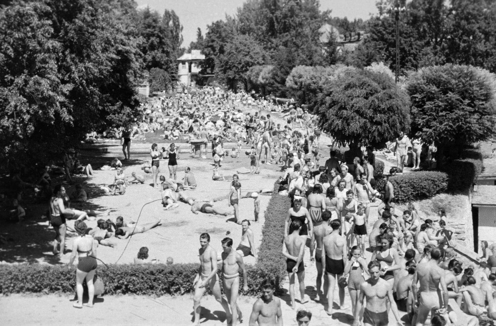 1961, Lindner család, Fortepan #311189