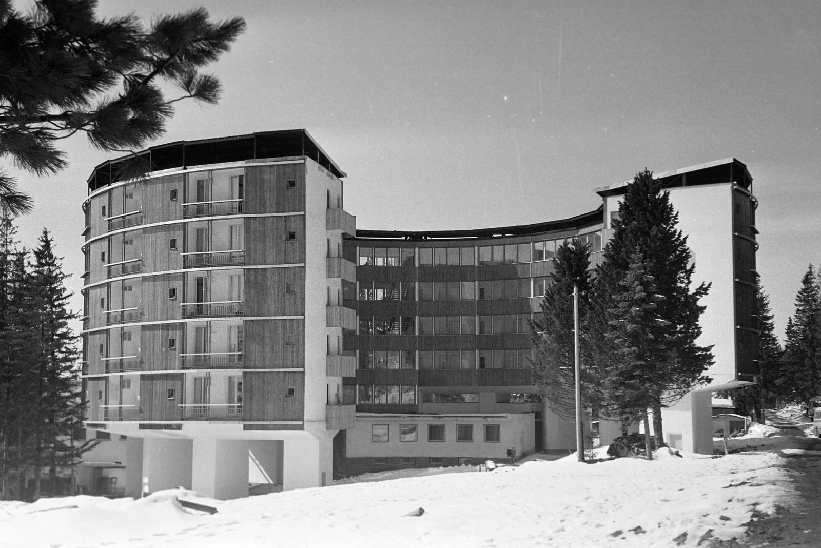 1965, Lindner család, Fortepan #311194