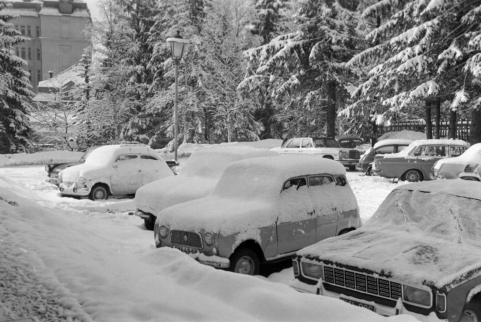 1965, Lindner család, Fortepan #311195