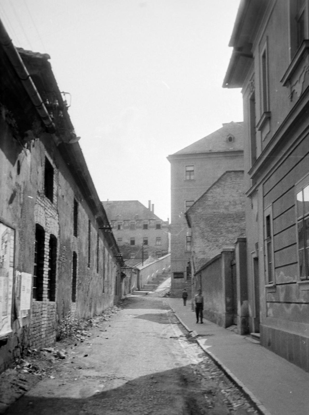 1965, Lindner család, Fortepan #311209