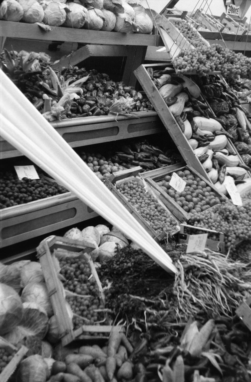 1966, Lindner család, Fortepan #311234