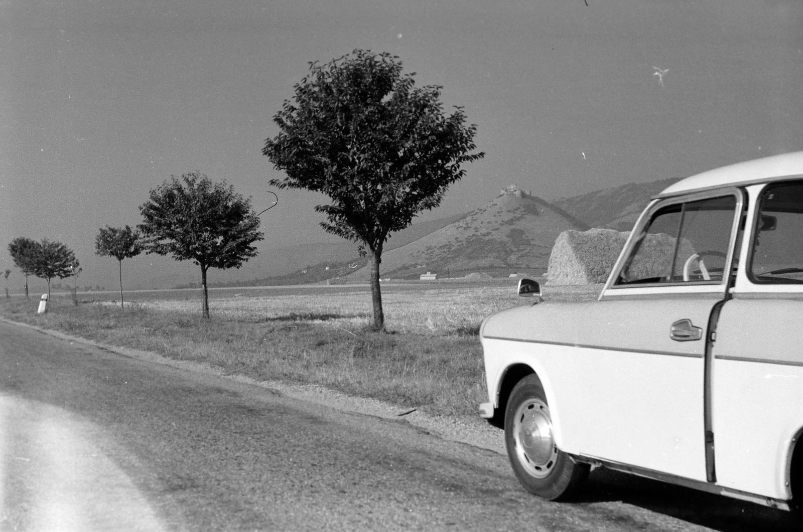 1961, Lindner család, Fortepan #311246