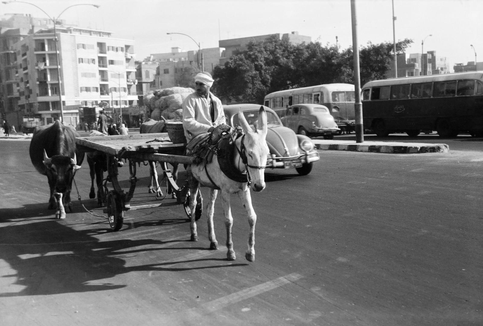 1966, Lindner család, Fortepan #311271