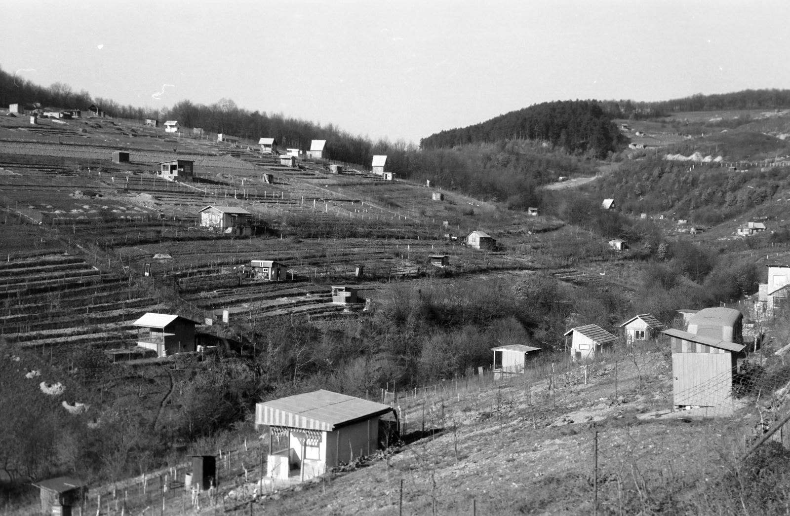 1967, Lindner család, Fortepan #311279