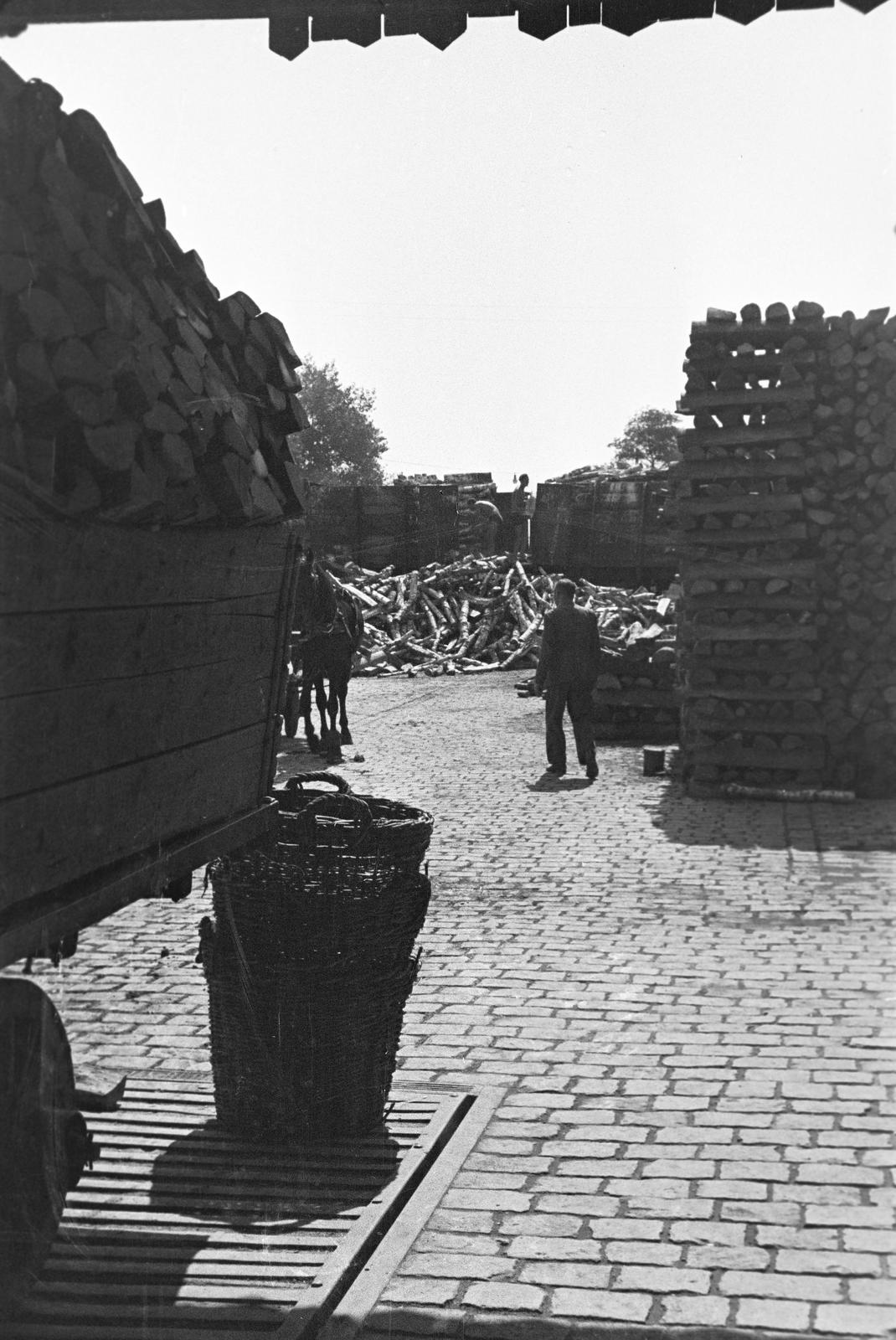 1959, Lindner család, Fortepan #311292