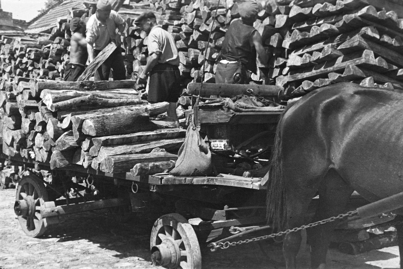 1959, Lindner család, Fortepan #311293