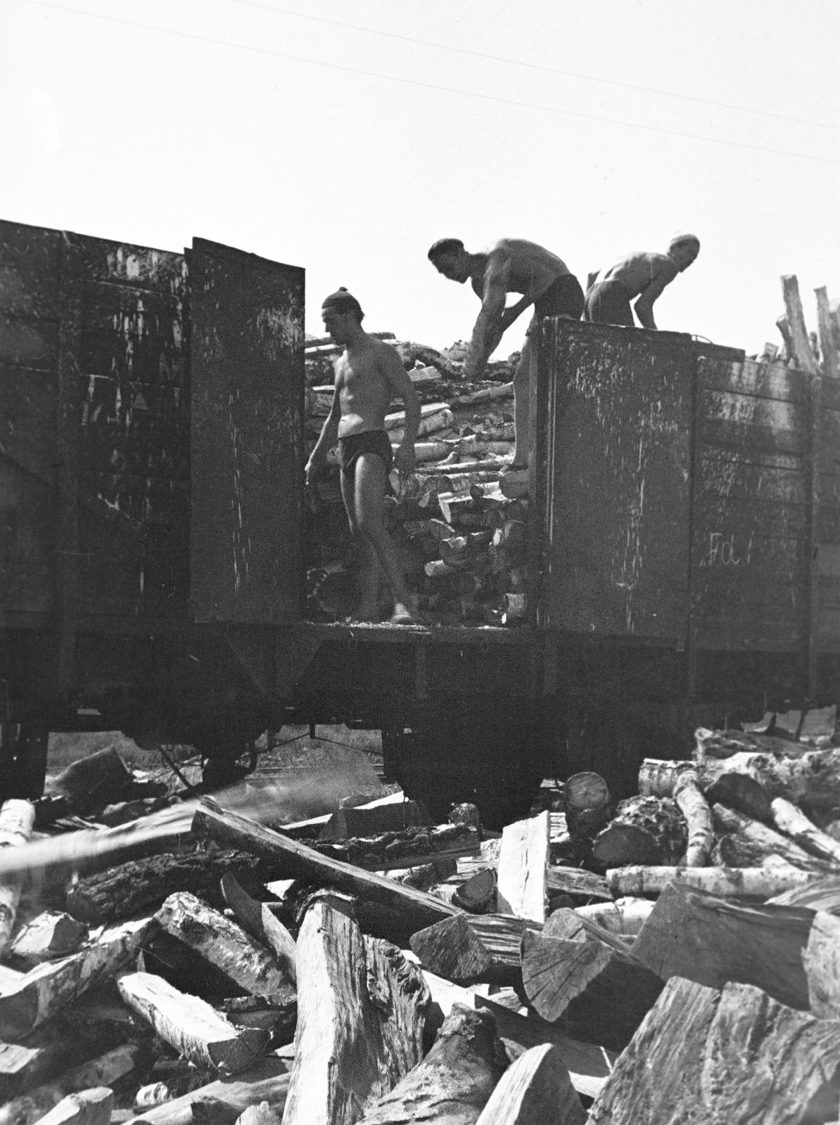 1959, Lindner család, Fortepan #311294