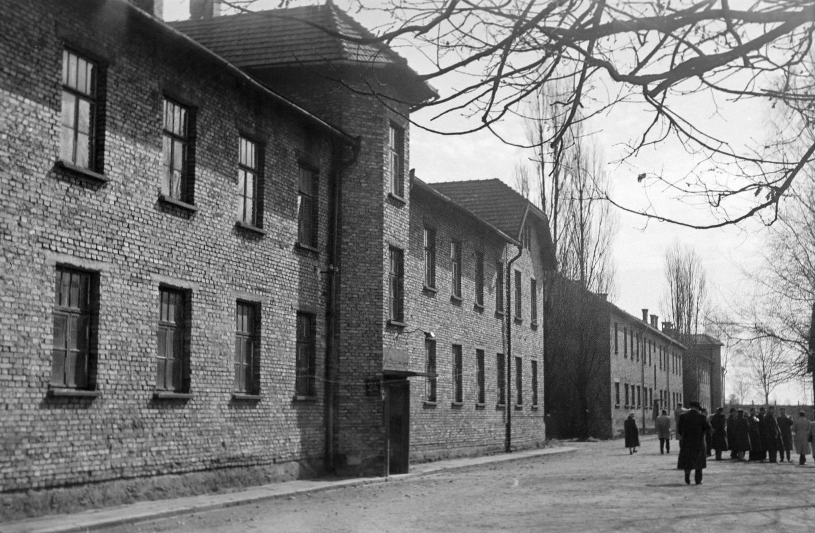 1960, Lindner család, Fortepan #311327