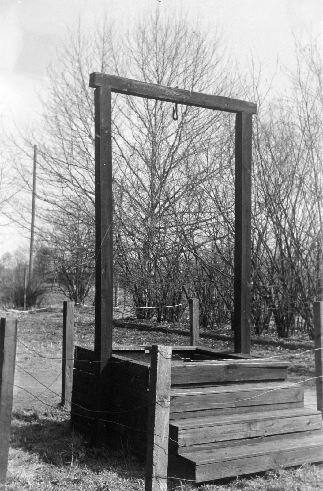 1960, Lindner család, Fortepan #311328