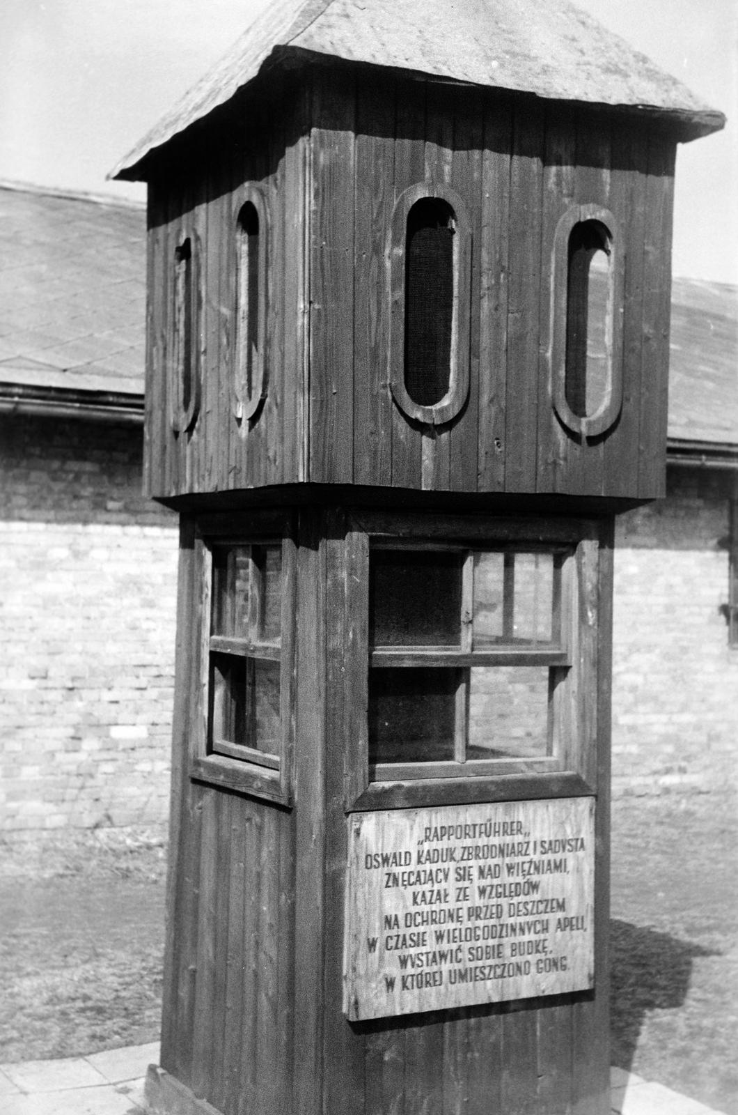 1960, Lindner család, Fortepan #311329