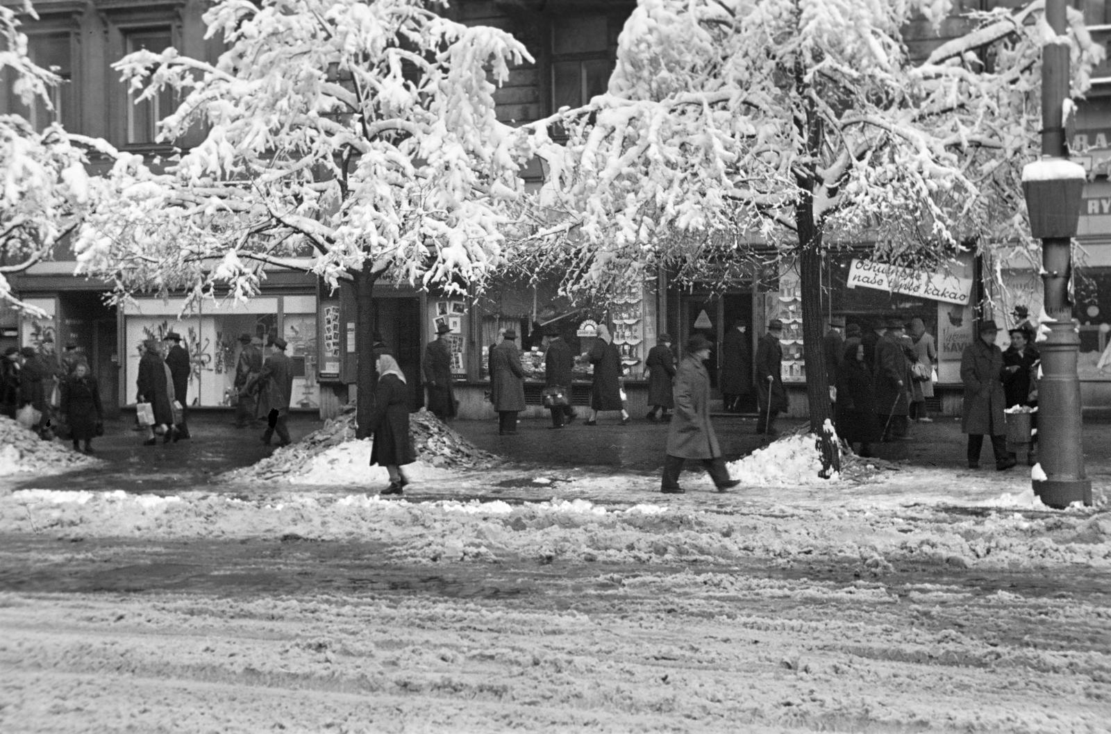 1961, Lindner család, Fortepan #311362