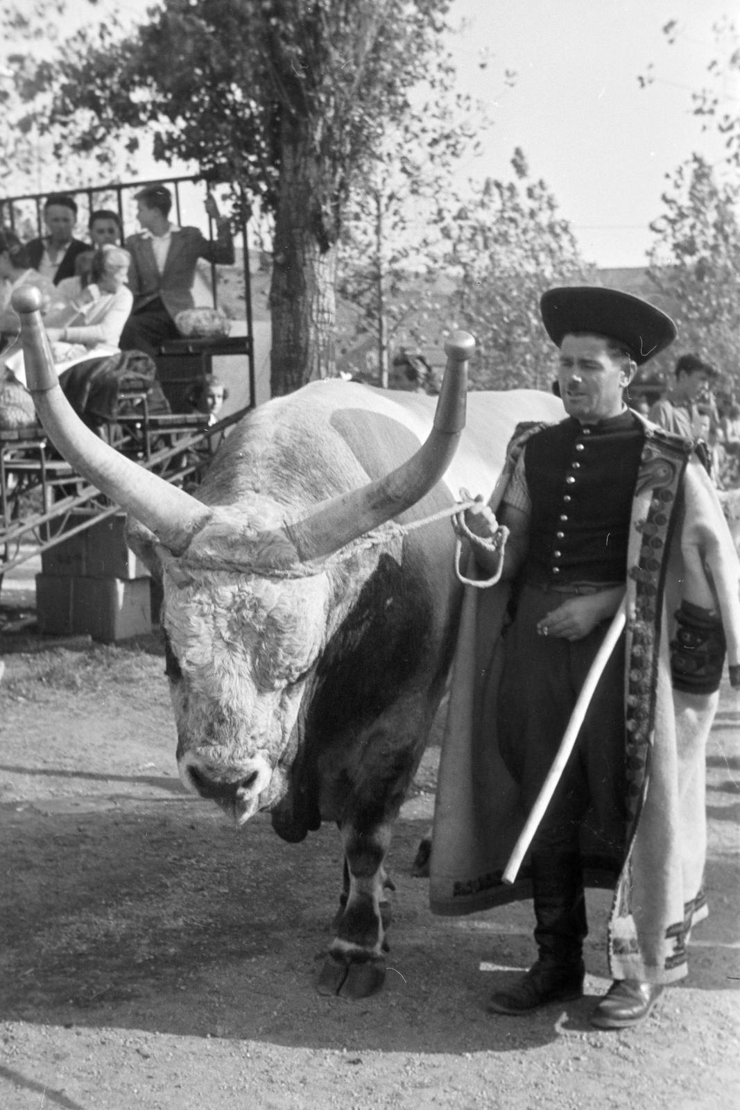 1961, Lindner család, Fortepan #311382