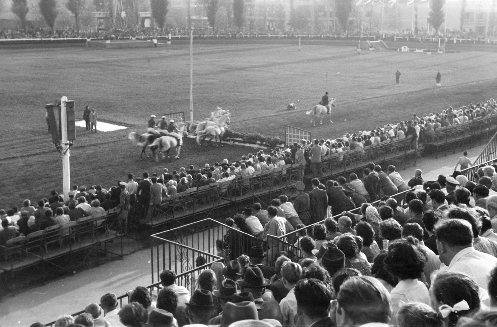 1961, Lindner család, Fortepan #311383