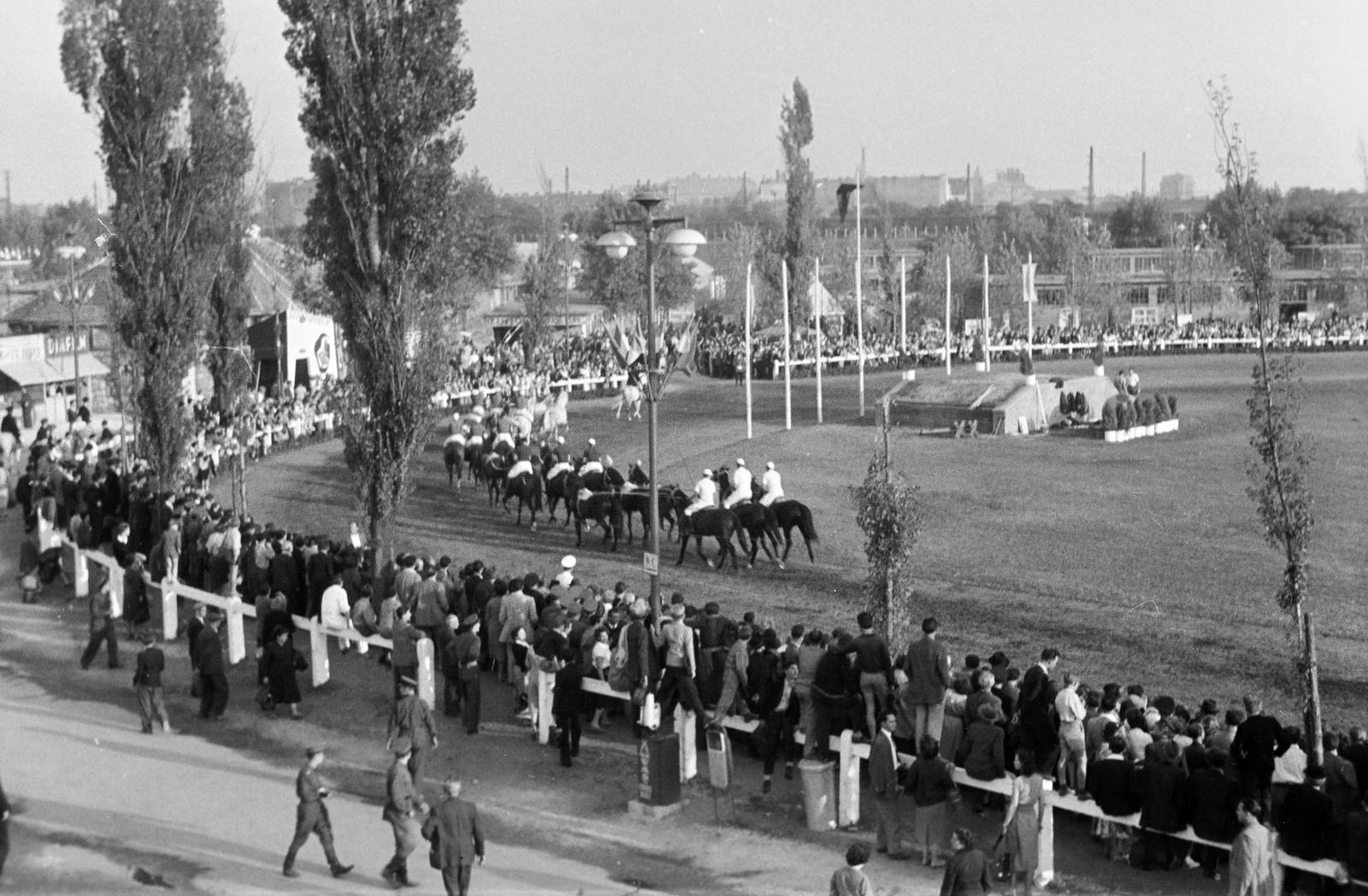 1961, Lindner család, Fortepan #311384