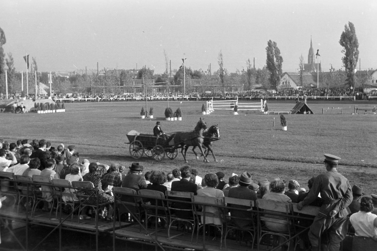 1961, Lindner család, Fortepan #311386