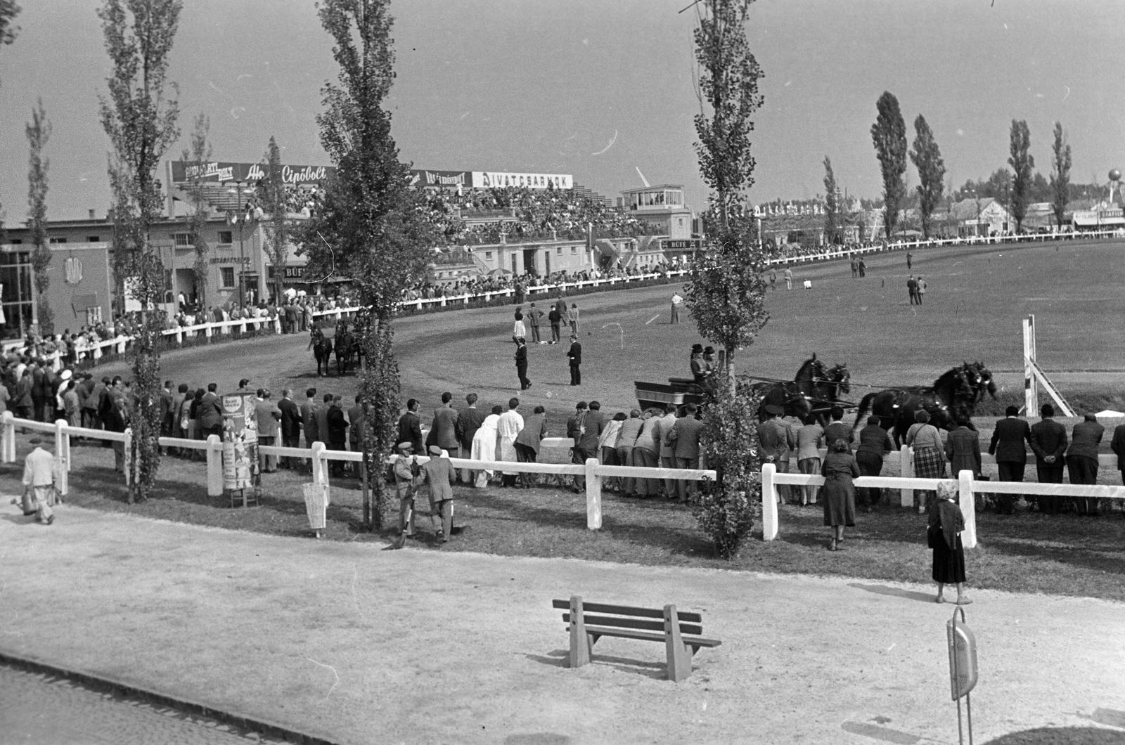 1961, Lindner család, Fortepan #311390