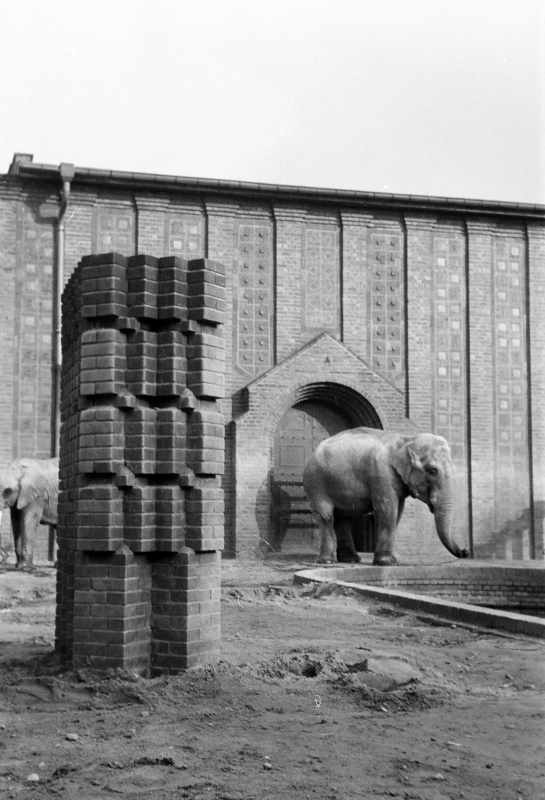 1961, Lindner család, Fortepan #311396