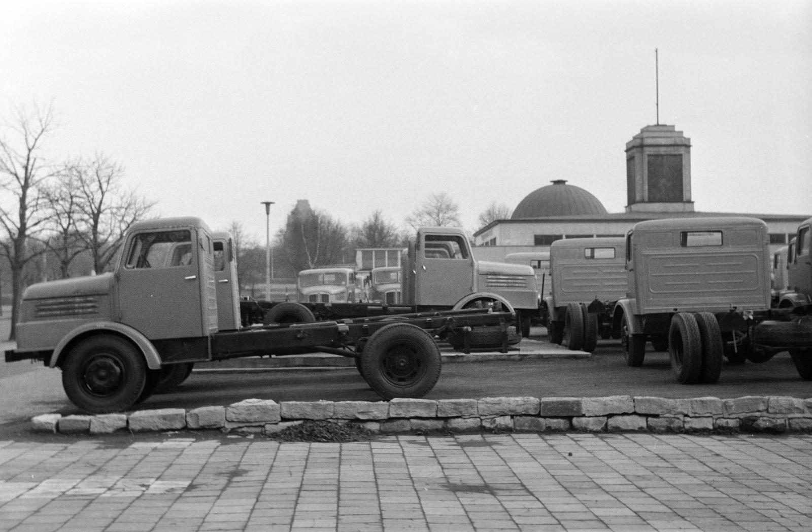 1961, Lindner család, Fortepan #311401