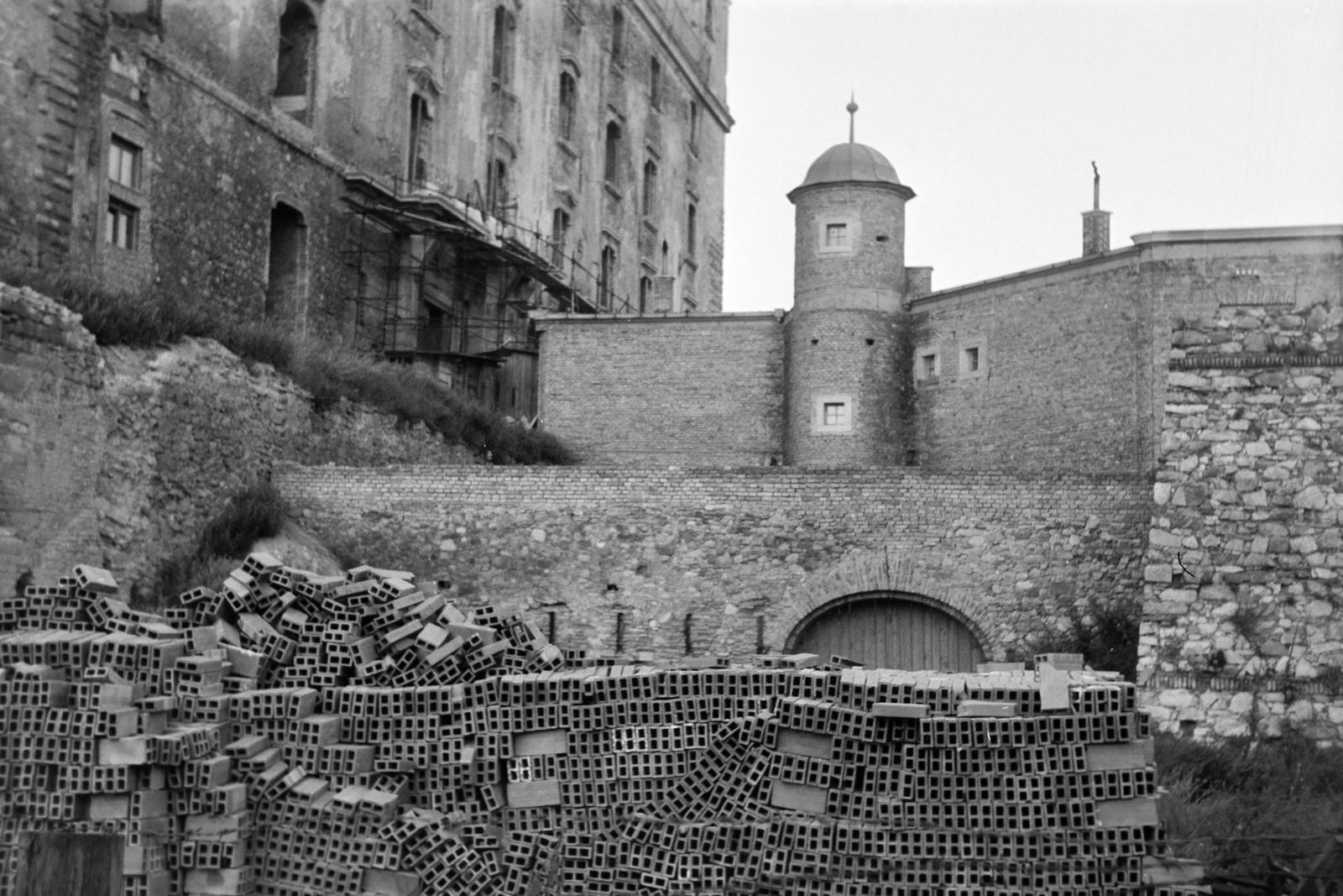 1961, Lindner család, Fortepan #311415