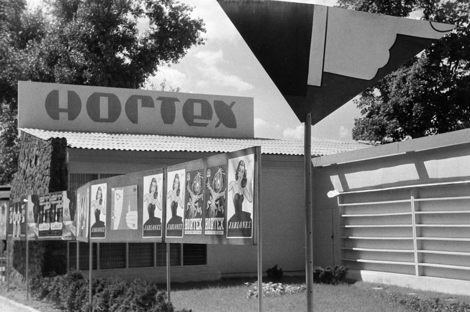 1966, Lindner család, Fortepan #311427