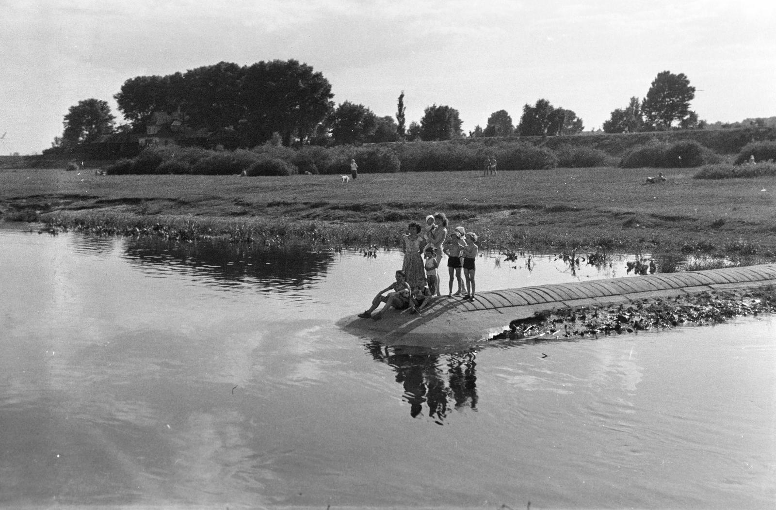 1966, Lindner család, Fortepan #311443