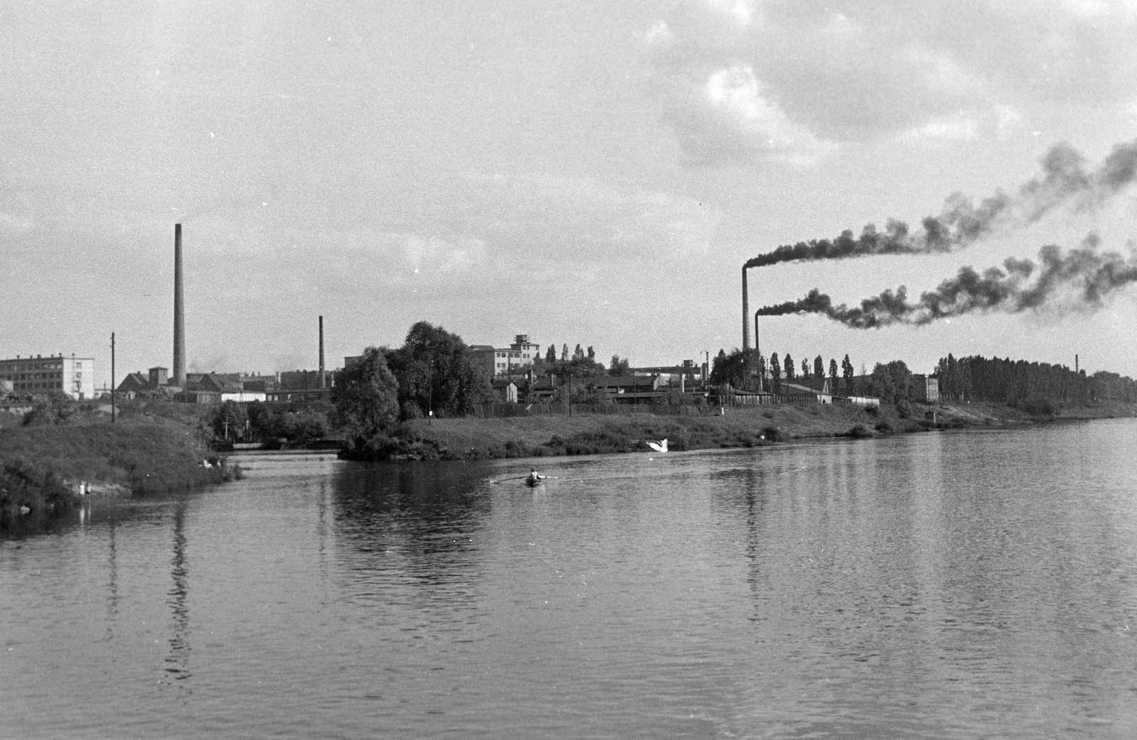 1966, Lindner család, Fortepan #311444