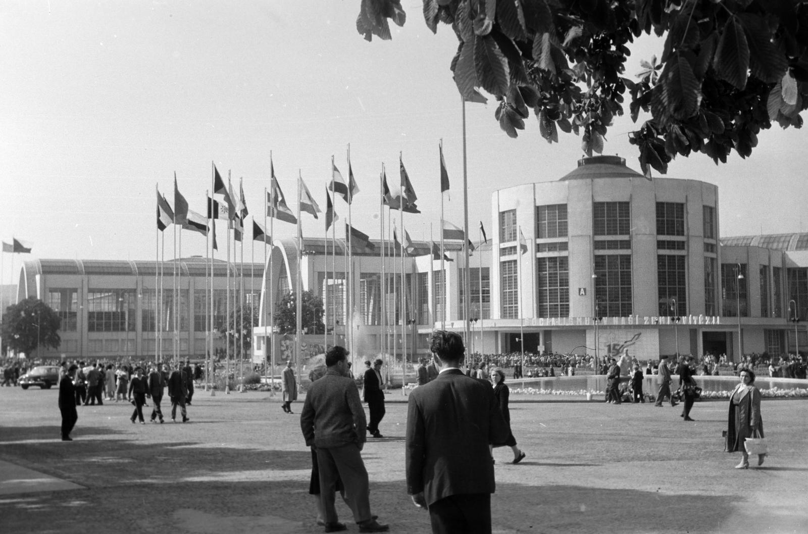 1966, Lindner család, Fortepan #311445