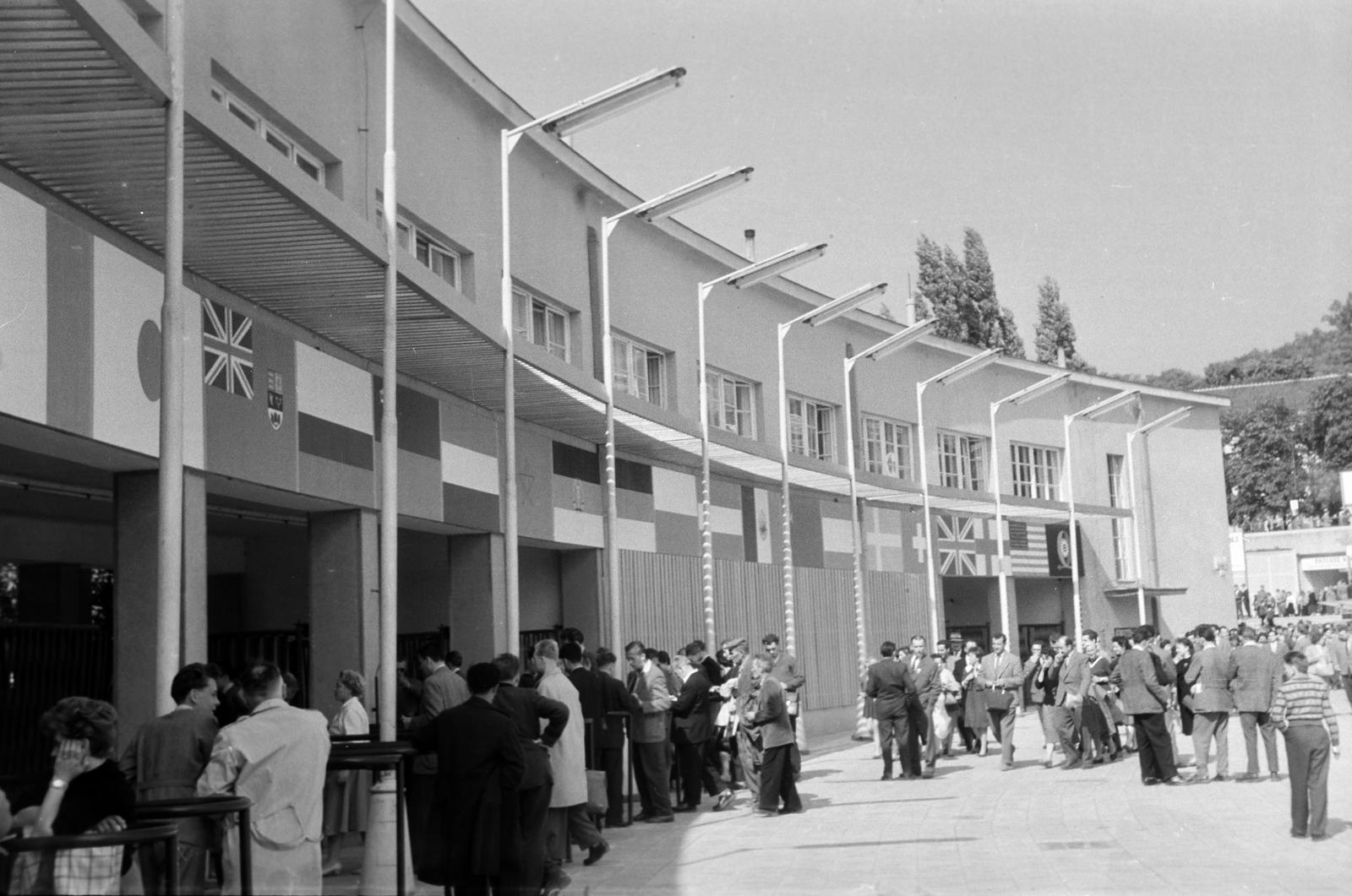 1966, Lindner család, Fortepan #311460