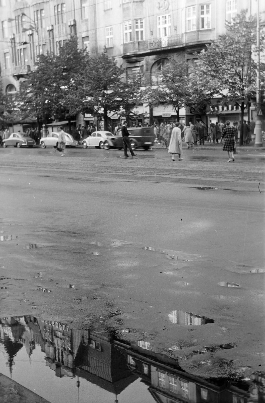 1966, Lindner család, Fortepan #311465