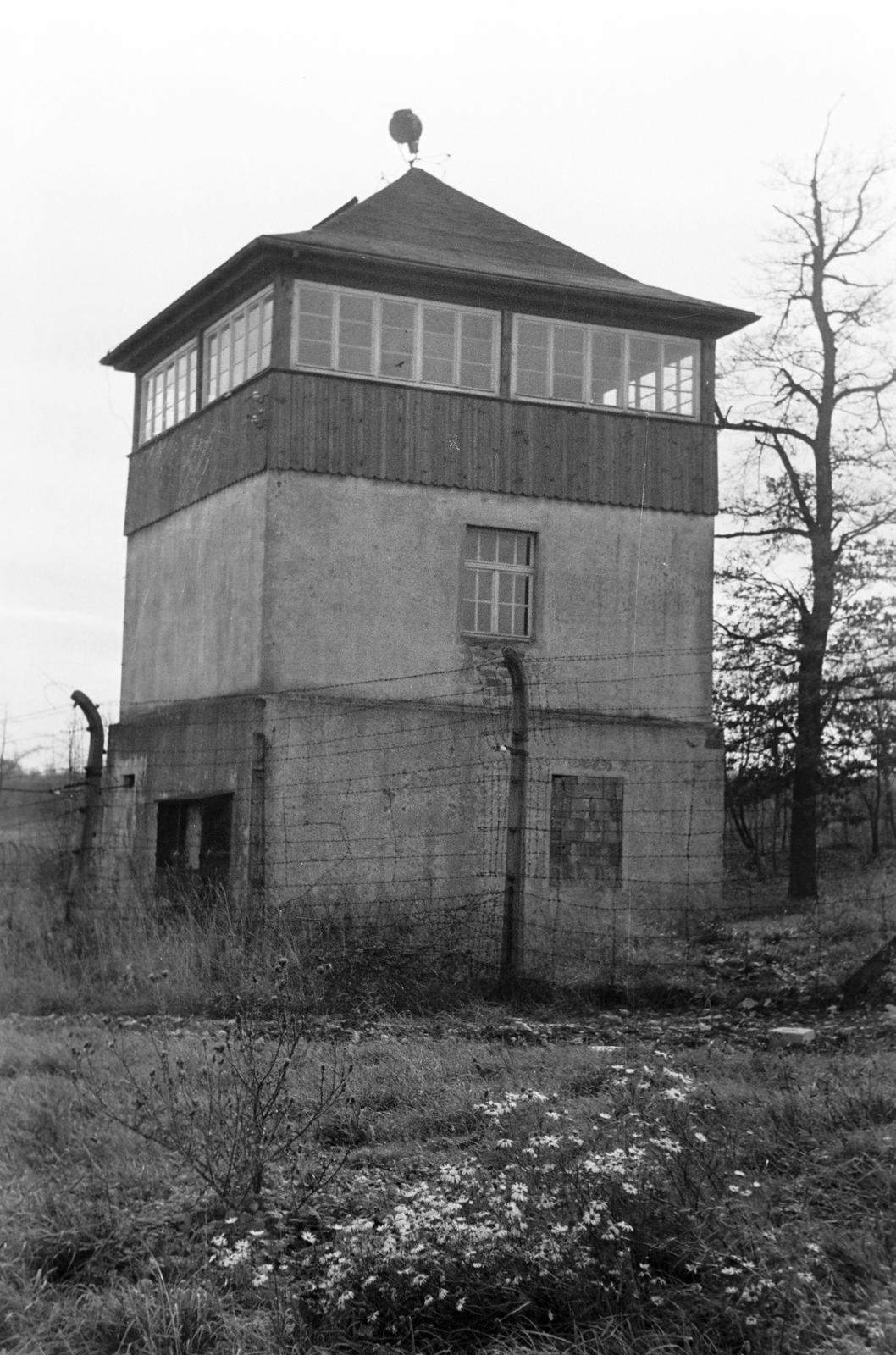 1970, Lindner család, Fortepan #311487