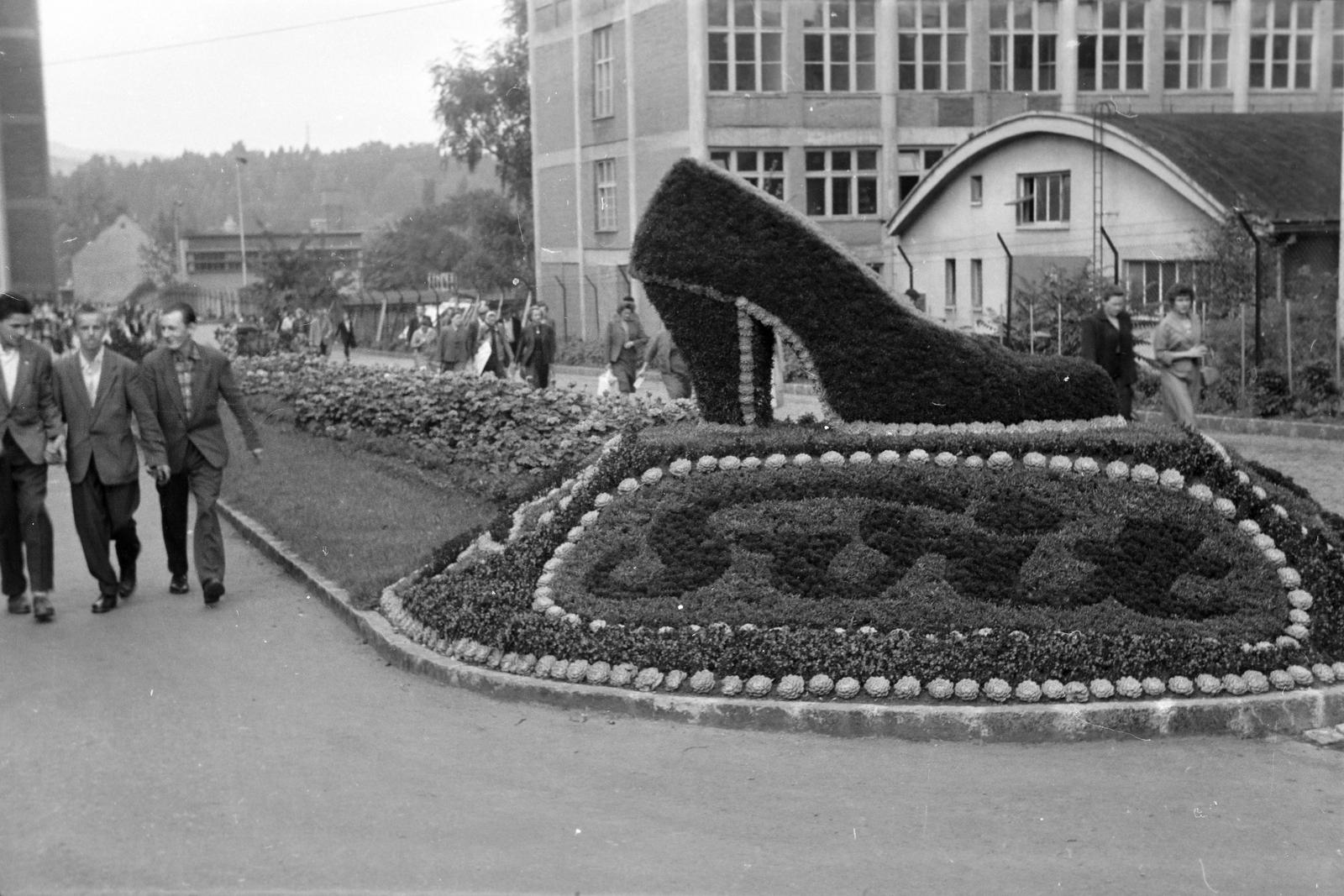 1963, Lindner család, Fortepan #311498