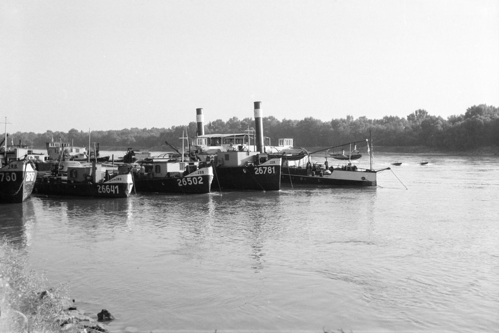 1960, Lindner család, Fortepan #311520