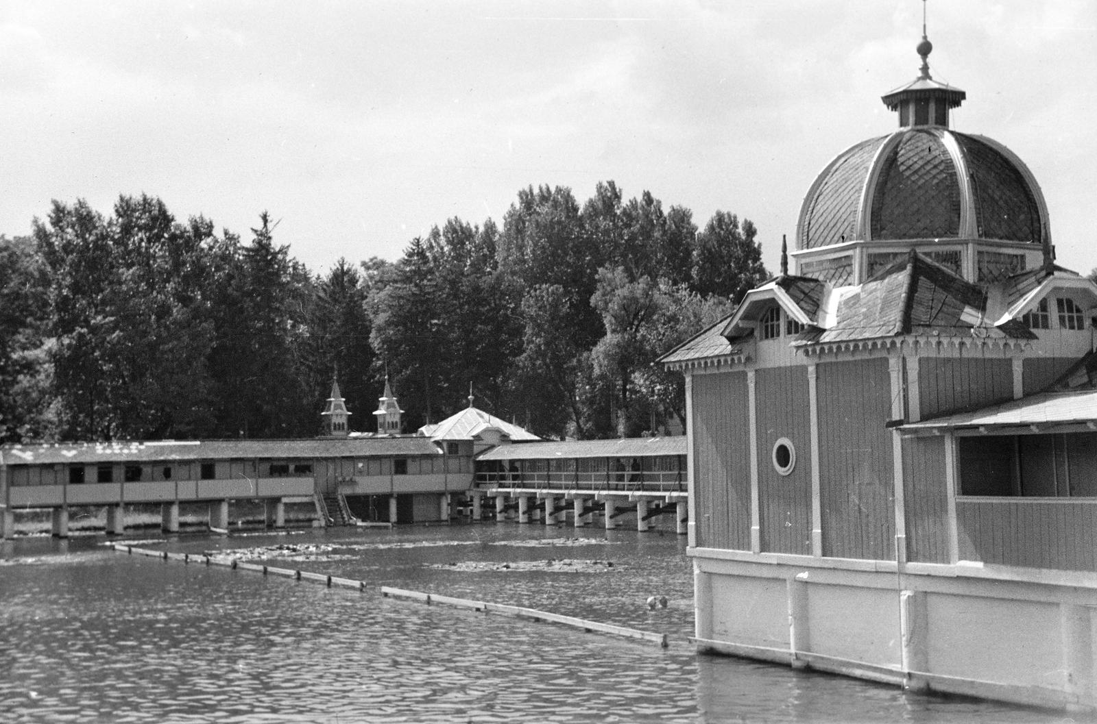 1960, Lindner család, Fortepan #311529