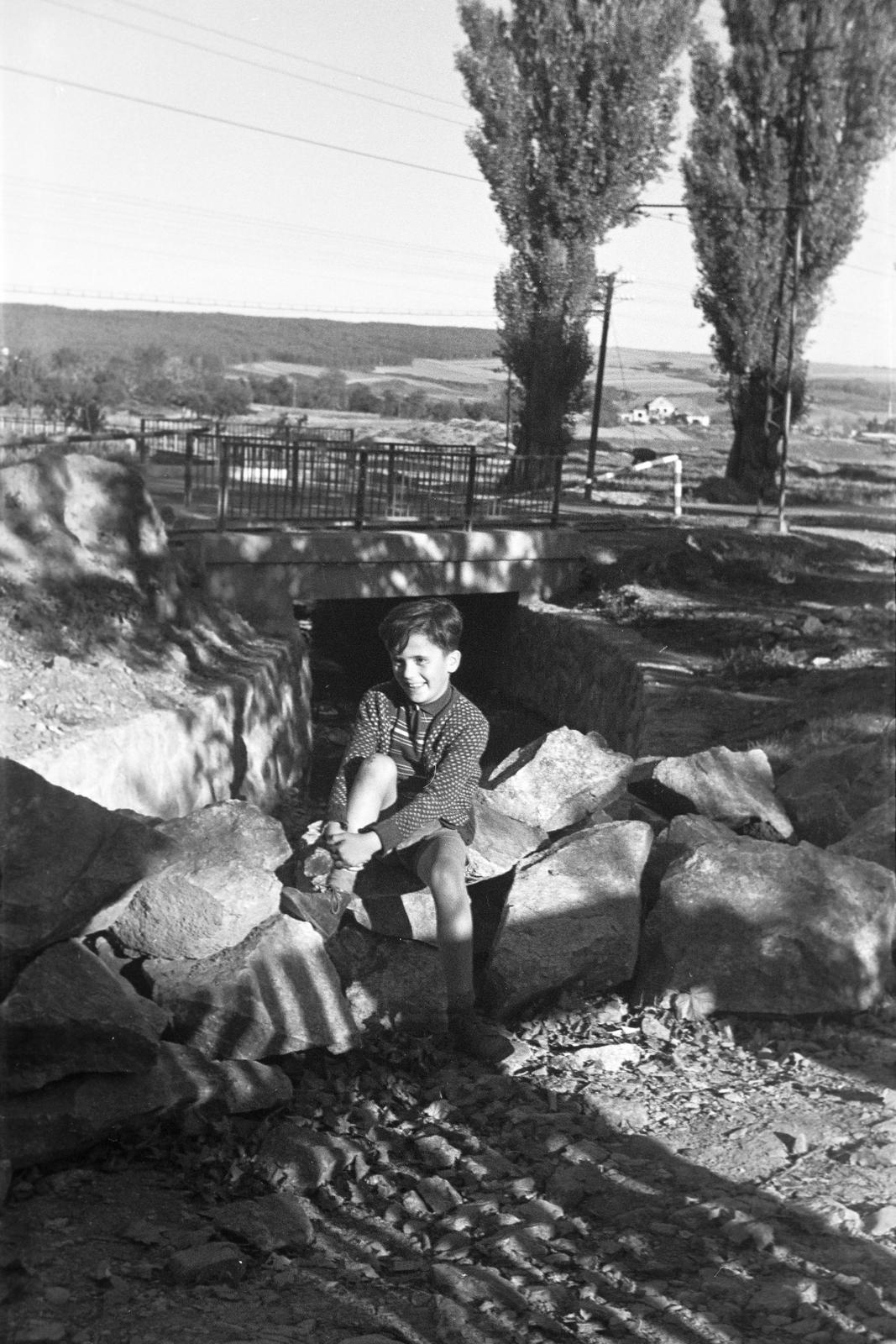 1960, Lindner család, Fortepan #311545