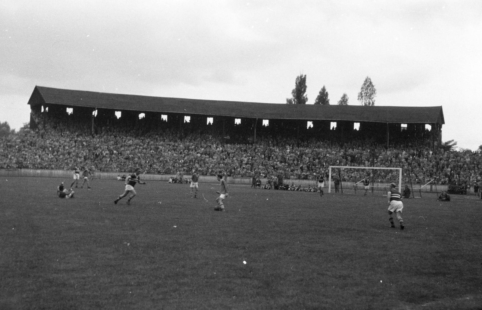 1960, Lindner család, Fortepan #311561