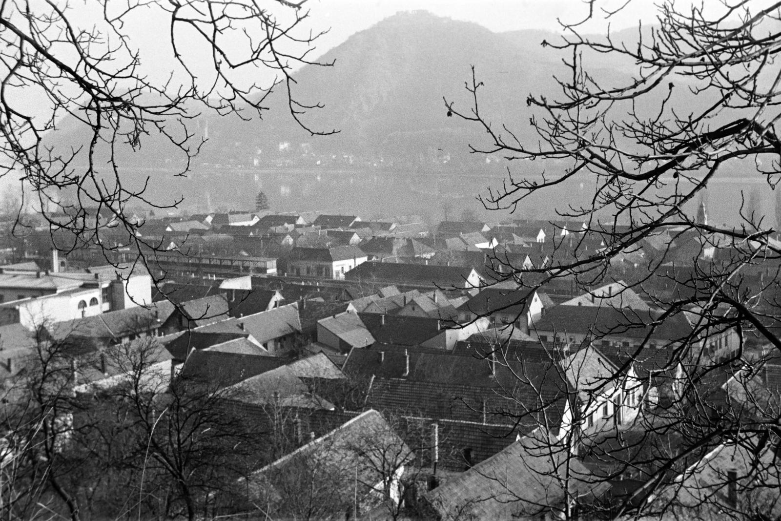 1960, Lindner család, Fortepan #311566