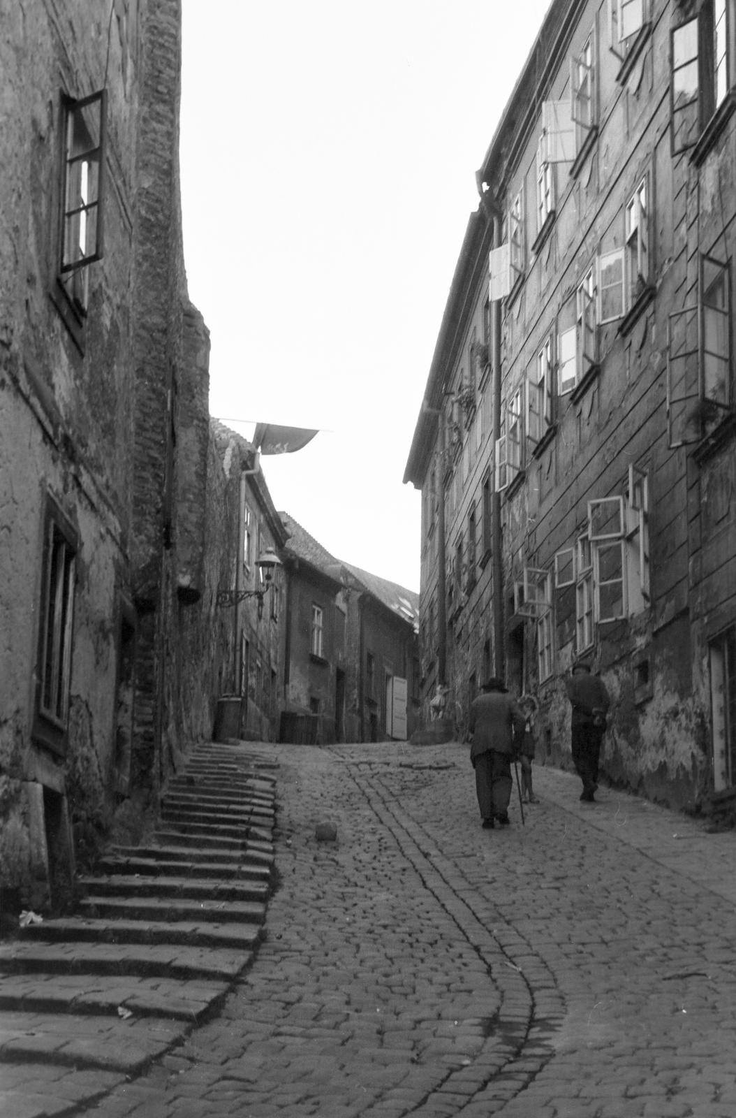 1960, Lindner család, Fortepan #311569