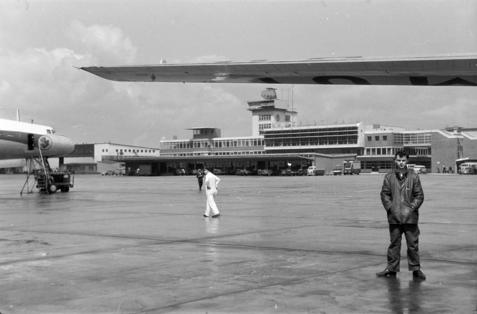 1965, Lindner család, Fortepan #311577